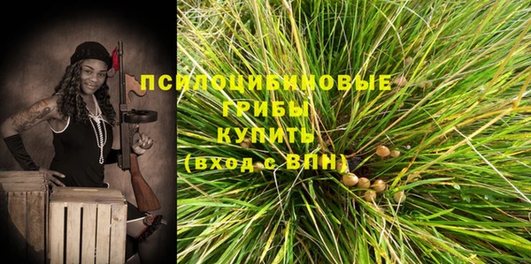 ECSTASY Алексеевка